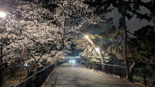 Thumbnail of post image 098